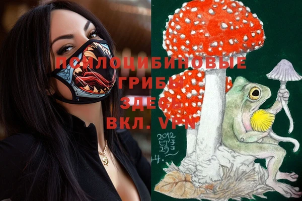 мдпв Коряжма