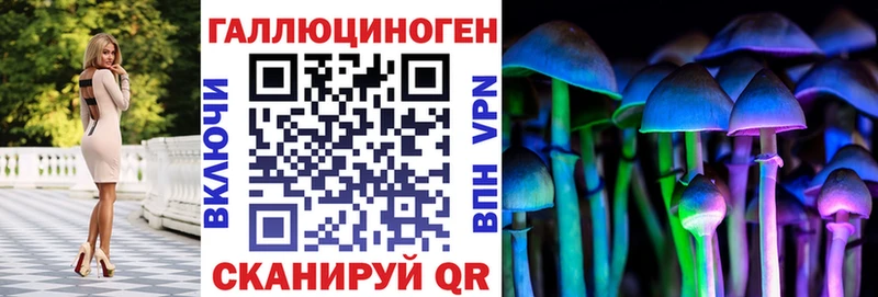 Псилоцибиновые грибы Psilocybe  Купить где  Аткарск 